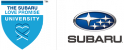 lockuplogo